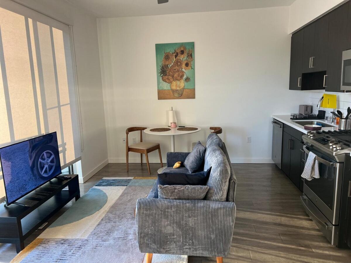 Santa Monica Bright With Stunning View